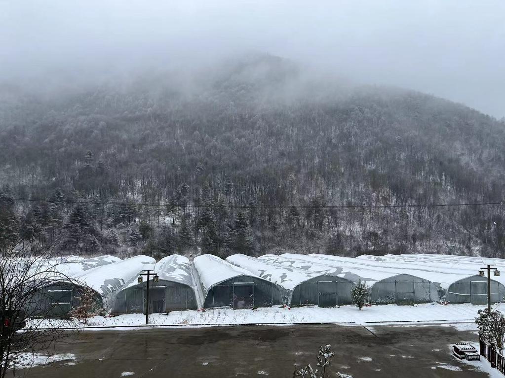 乡村振兴｜重庆方斗村：“原始”村落展新颜
