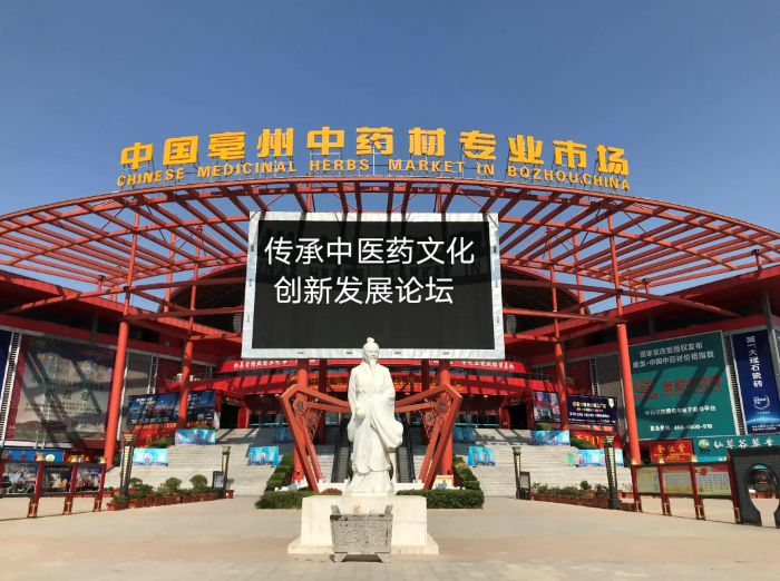 传承中医药创新发展高峰论坛在亳州成功举办
