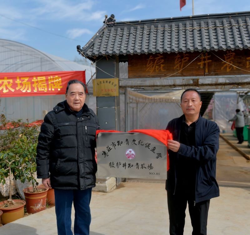 枣庄市知青文化纪念馆启动暨辘轳井农庄首届桃花节开幕