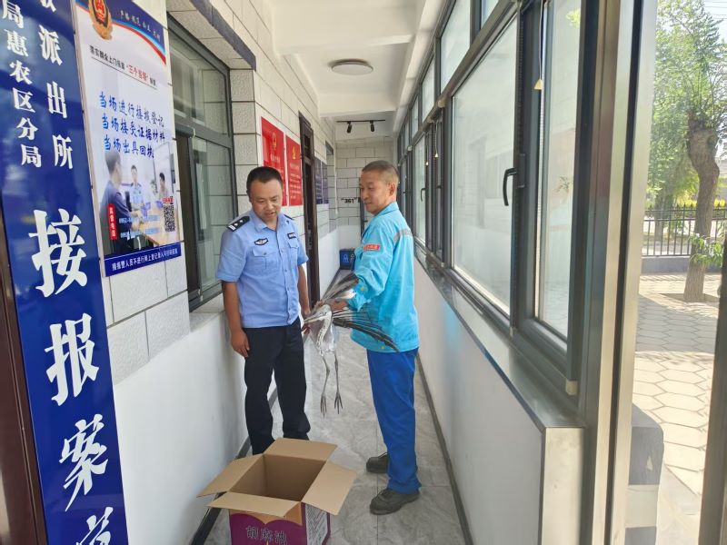 能源线与生命线交织：贺兰山下，石油人的生态守护