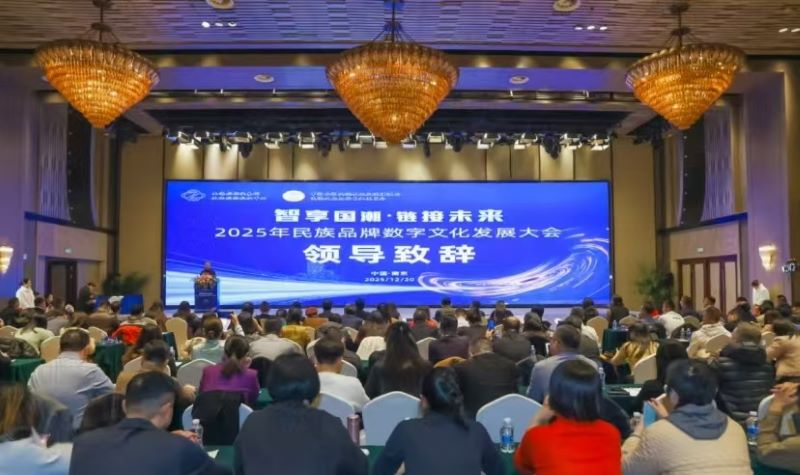 “智享国潮 链接未来”数字文化发展大会在南京举行