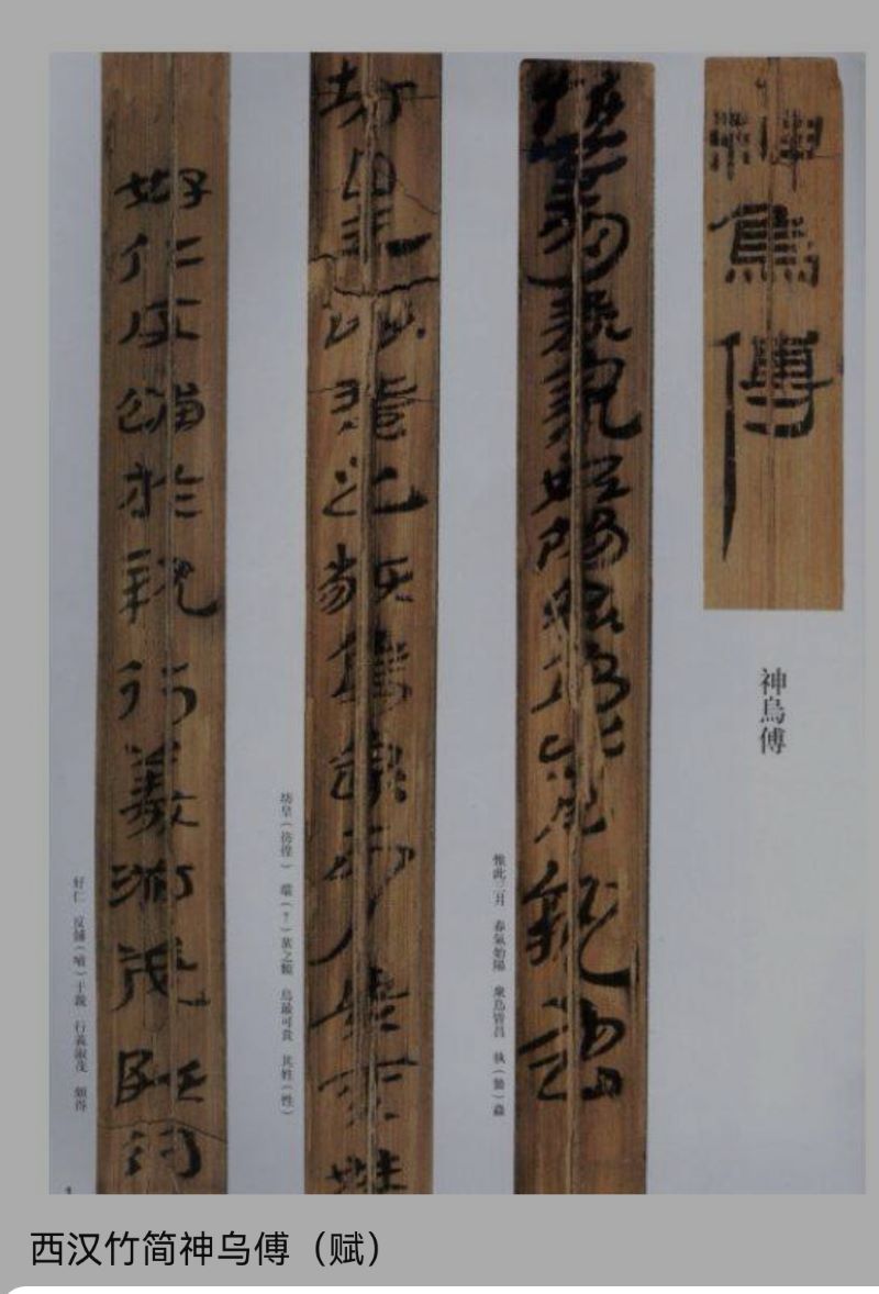 刘俊坡：浅析章草如何奠定中国草书的“法”与“势”